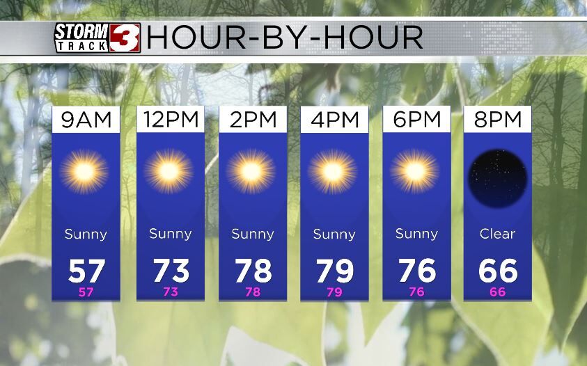 Hourly Forecast